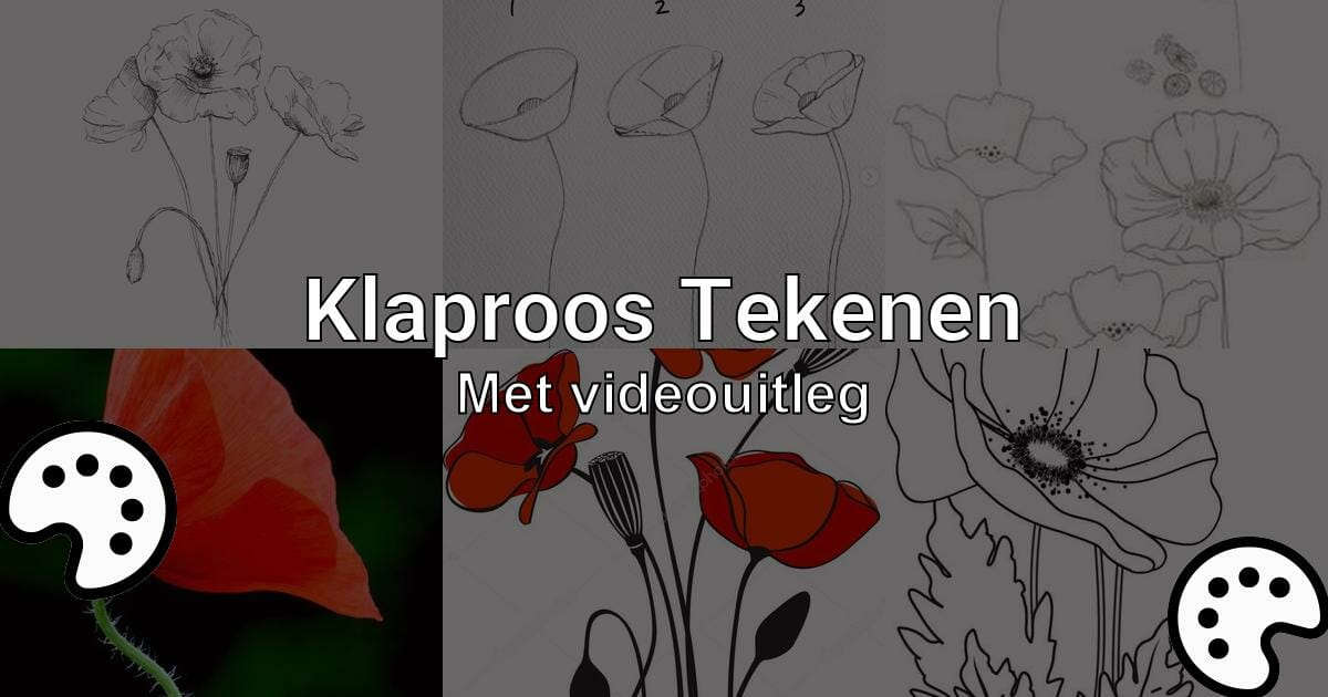 Klaproos Tekenen Met Videouitleg Tekenen Nu