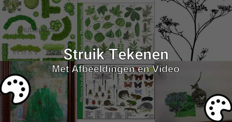 Struik Tekenen Met Afbeeldingen En Video Tekenen Nu