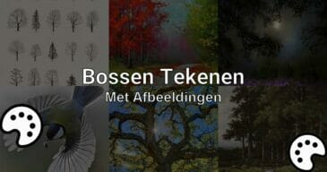 bossen tekenen