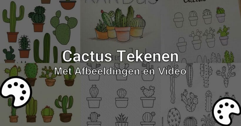 cactus tekenen