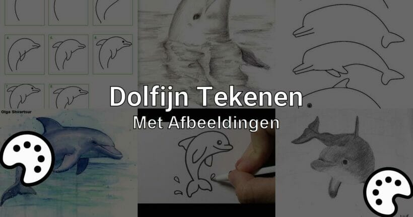 dolfijn tekenen