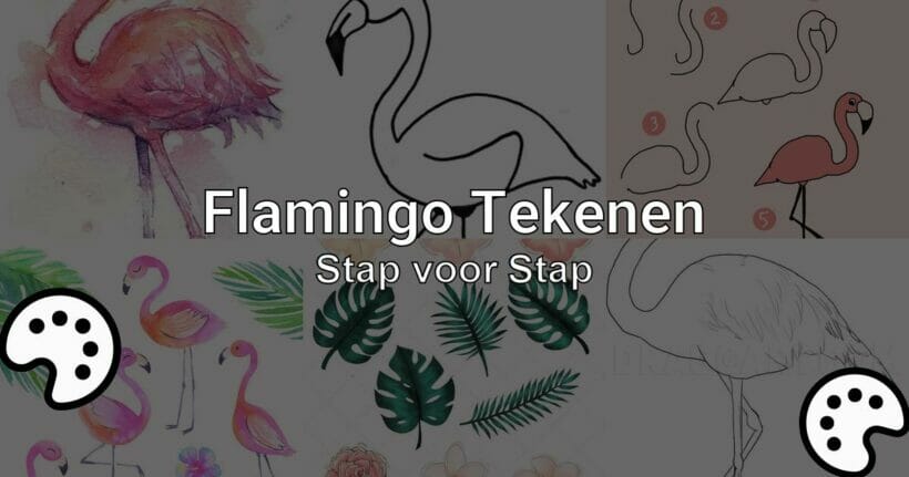 flamingo tekenen