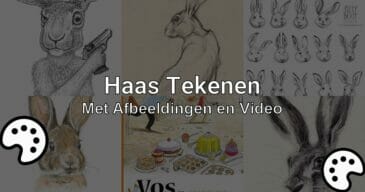 haas tekenen