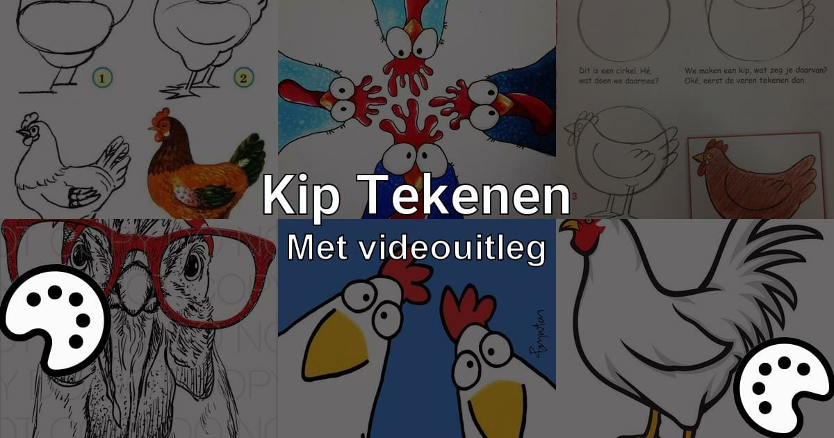 Kip Tekenen Met Videouitleg