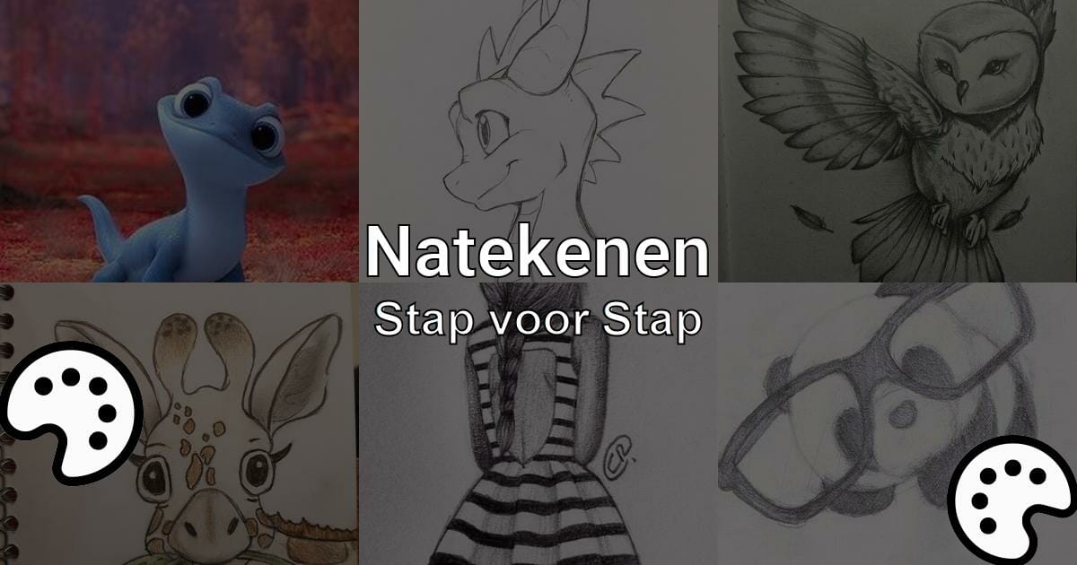Natekenen Leer Tekenen Zonder Stress