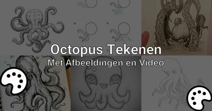 octopus tekenen