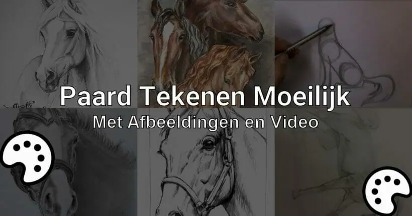 Ale Intensief handel Paarden Tekenen Moeilijk (Met Afbeeldingen en Video) - tekenen.nu