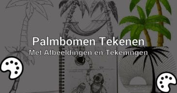 palmbomen tekenen