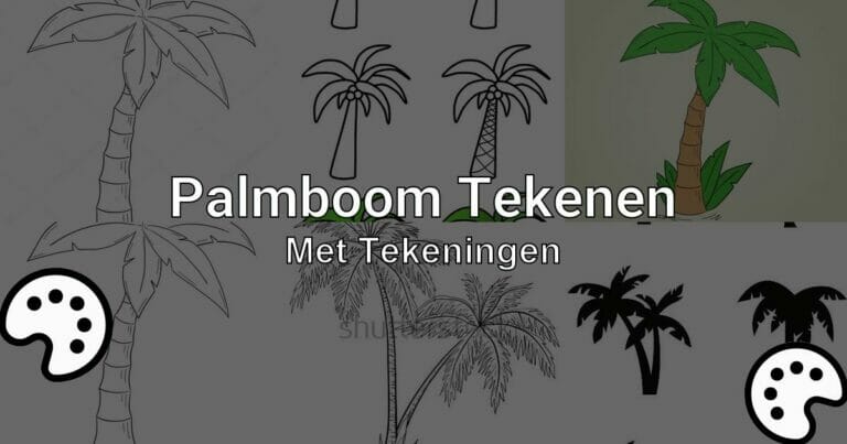 Palmboom Tekenen Met Tekeningen