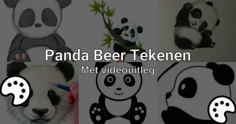 Panda Beer Tekenen Met Videouitleg Tekenen Nu