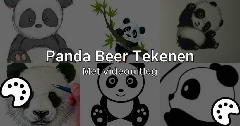 panda beer tekenen