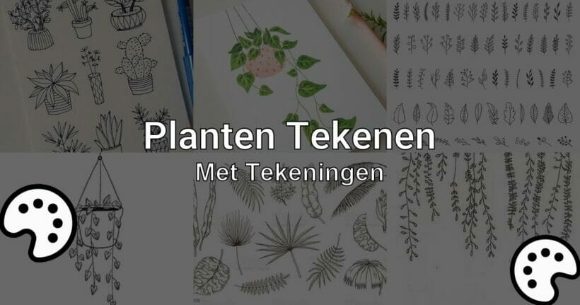 planten tekenen