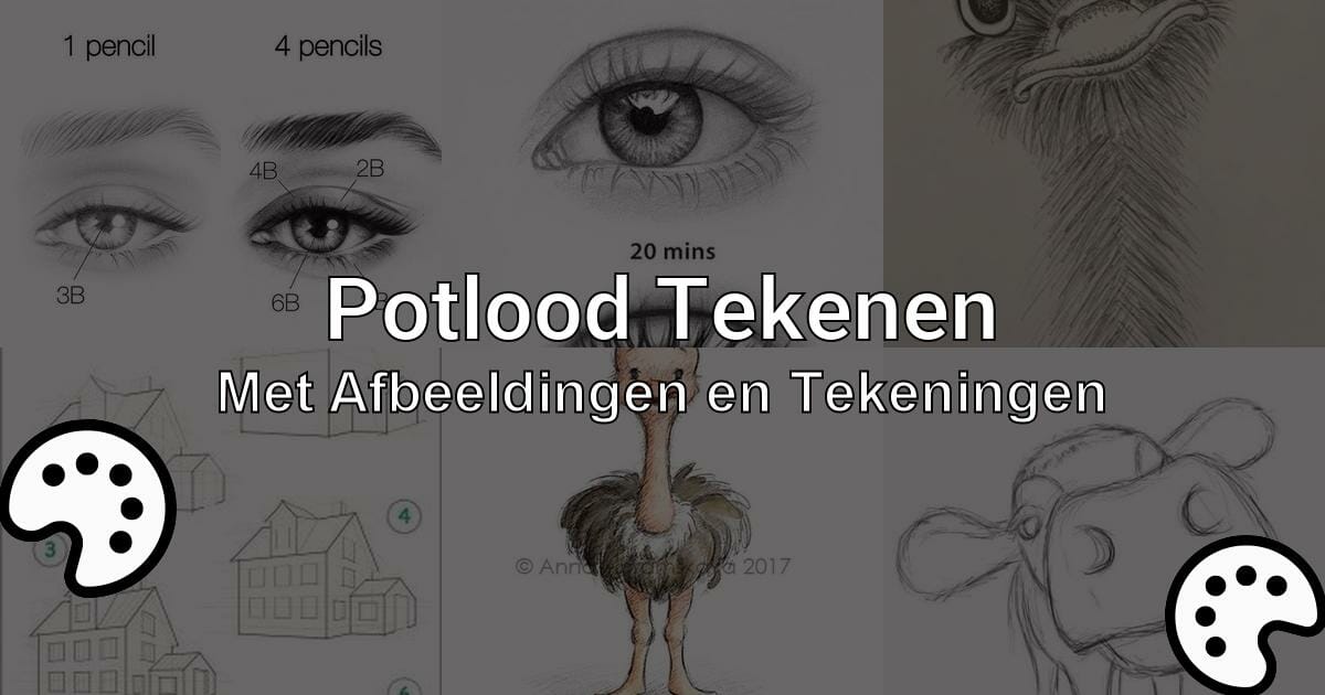 Potlood Tekenen Met Tekeningen Tekenen Nu