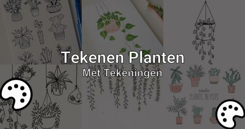 tekenen planten