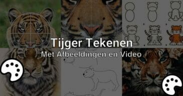 tijger tekenen