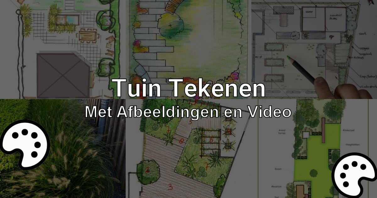 Tuin Tekenen Met Afbeeldingen En Video Tekenen Nu