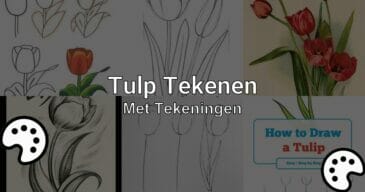 tulp tekenen