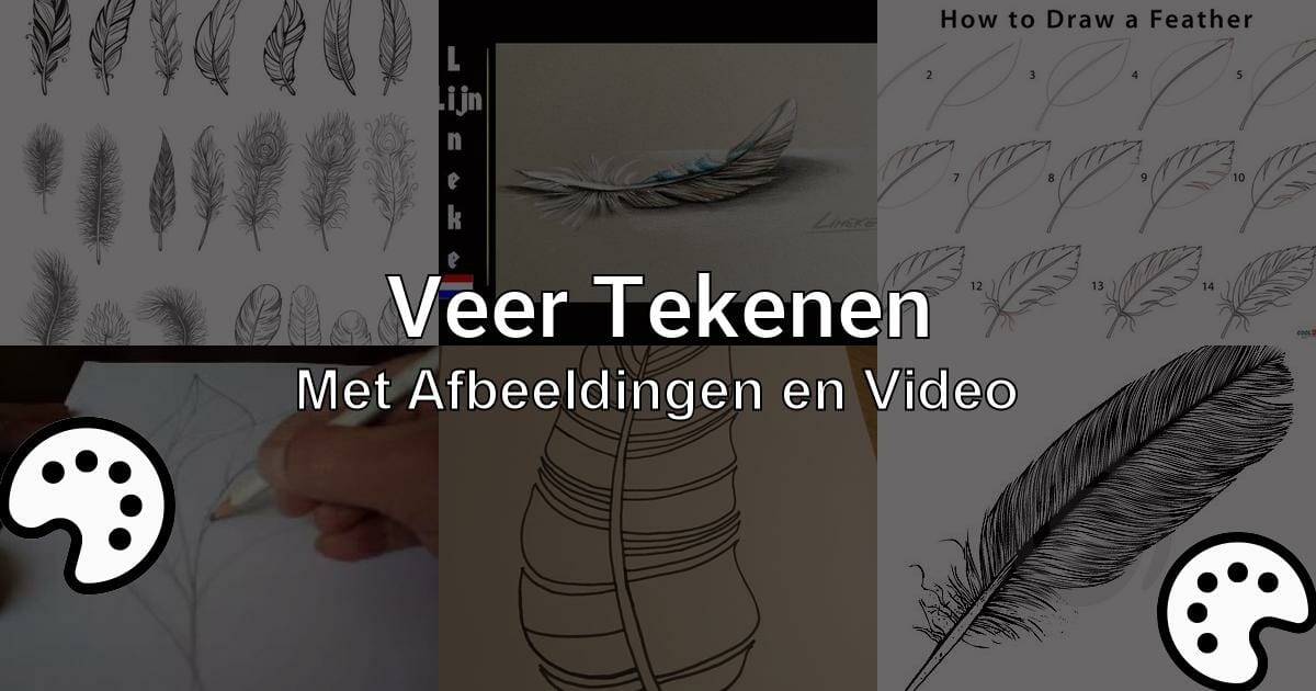 Veer Tekenen Met Afbeeldingen En Video Tekenen Nu