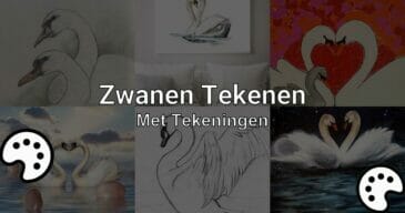 zwanen tekenen